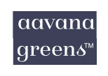 City Plywood - Avana Greens